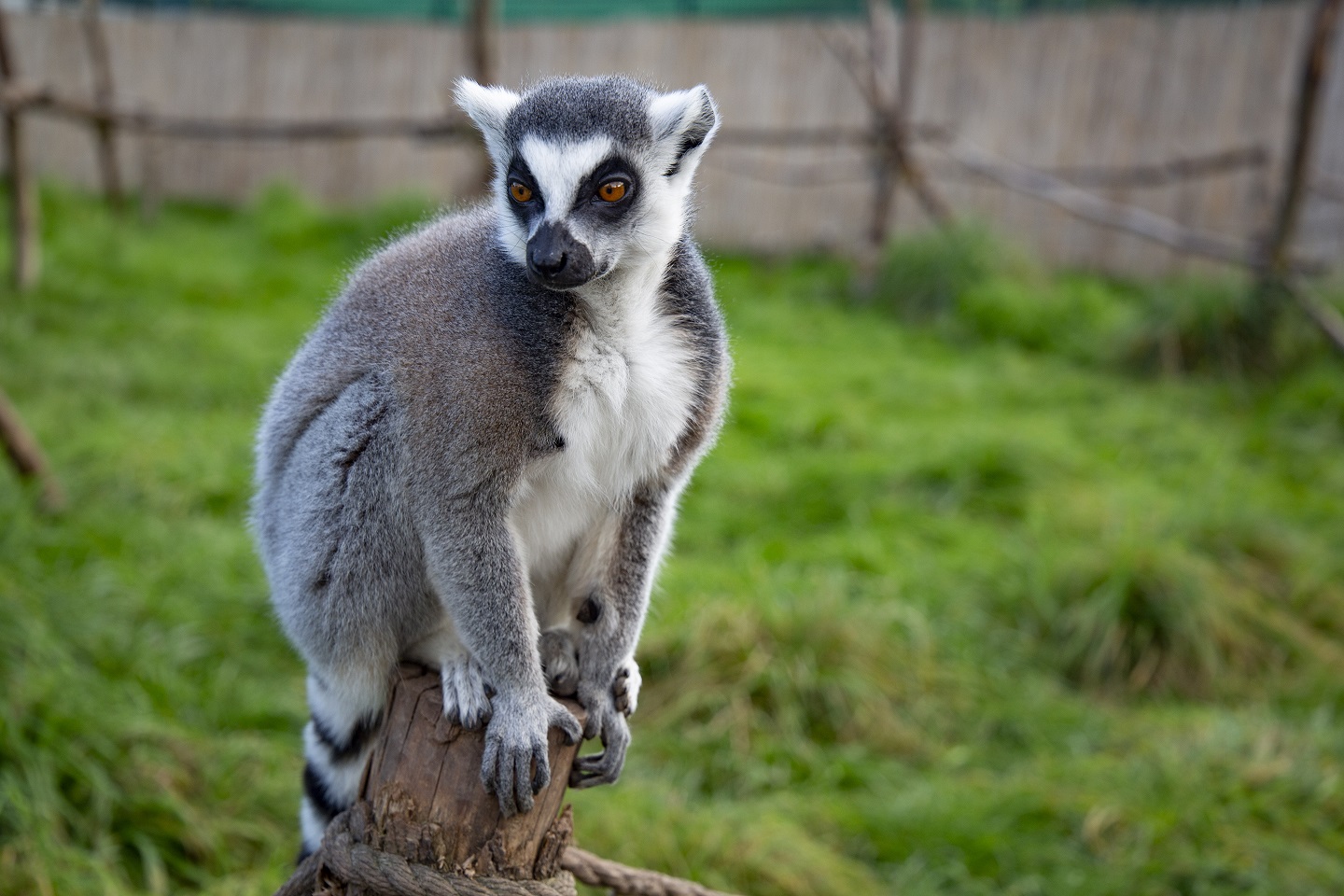 zoo łączna atrakcje dolnego śląska