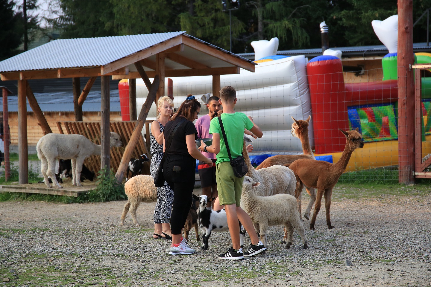 Tatrzańskie Mini ZOO – atrakcje Zakopane